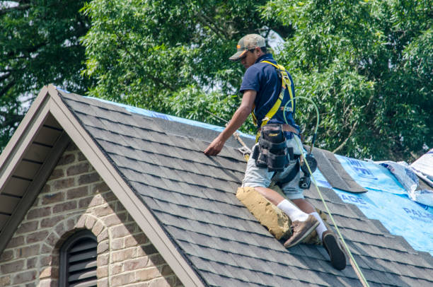 Professional Roofing Contractor in Diberville, MS